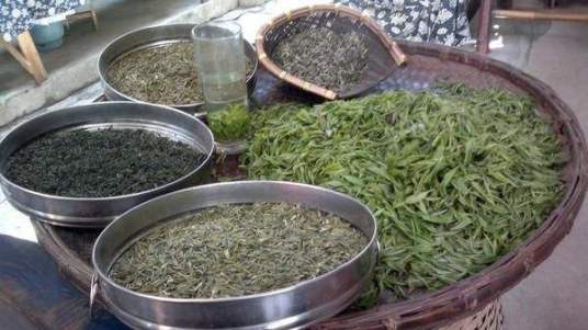 “長沙綠茶”獲批國家地理標志證明商標
